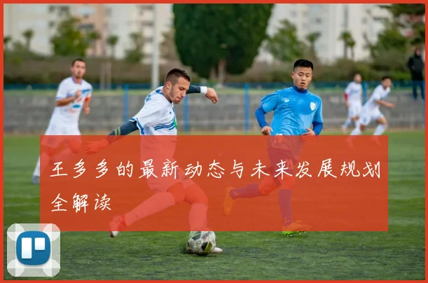 王多多的最新动态与未来发展规划全解读